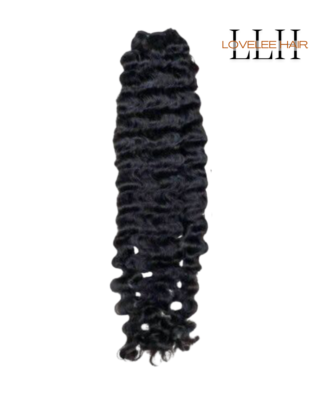 Burmese Curly